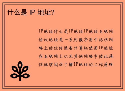 什么是 IP 地址？